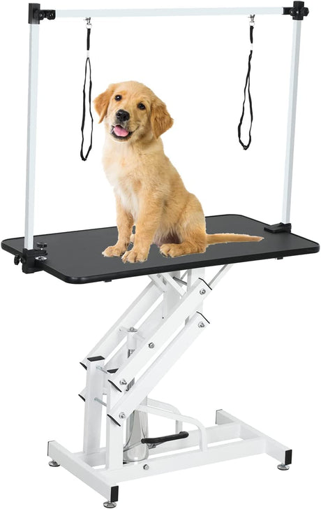 Hydraulic Pet Grooming Table for Large Dogs Professional Heavy Duty Adjustable Height - Portable Trimming Table Drying Table w/Arm/Noose, Maximum Capacity Up to 330Lb, 42.5''/ Black petgroomingtable