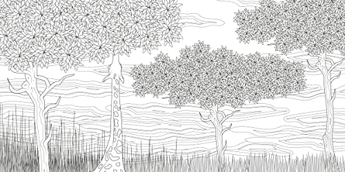 The Splendor of Trees Coloring Book (Calm Coloring: Natural Wonders) White Star Publishers