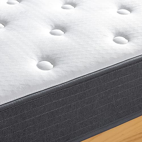 ZINUS 8 Inch Comfort Essential Pocket Spring Hybrid Mattress, Queen, Pressure Relieving Support, CertiPUR-US Certified, Mattress in A Box Zinus