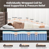 UniPon Firm Full Mattress 14 Inch Deep Sleep Hybrid Mattress with Extra Back & Hip Support, Motion Isolation with Fiberglass-Free, CertiPUR-US Certified, 365-Night Trial UniPon