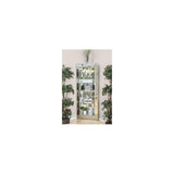 Benjara Wood and Glass Corner Curio Cabinet with Five Shelves, Silver Benzara