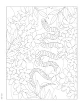 Creative Haven Forest & Woodland Wildlife Coloring Book (Adult Coloring Books: Animals) WoodArtSupply