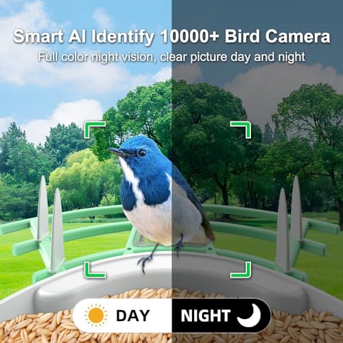 DEBARK® Smart Wild Bird Feeder with Camera Solar Powered, 1080P Video AI Camera for Beautiful Close-up Shots and a Unique Bird Watching Experience - WoodArtSupply