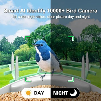 DEBARK® Smart Wild Bird Feeder with Camera Solar Powered, 1080P Video AI Camera for Beautiful Close-up Shots and a Unique Bird Watching Experience - WoodArtSupply