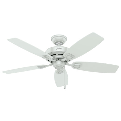 Hunter Fan Company, 53350, 48 inch Sea Wind White Indoor / Outdoor Ceiling Fan and Pull Chain Hunter