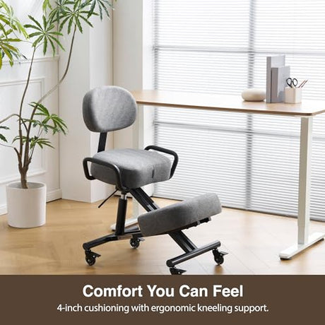 DR.LOMILOMI Ergonomic Kneeling Chair with Backrest, Improve Posture, Thick Cushions, Locking Wheels for Home & Office, AKONI 512 (Backrest Add-on, Dim Grey) DR.LOMILOMI