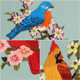 Louise Maelys 3 Sets Bird Embroidery Kits for Beginners,Adults Starter Flower Pattern Cross Stitch Kit DIY Needlepoint Kits with Embroidery Instructions