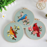 Louise Maelys 3 Sets Bird Embroidery Kits for Beginners,Adults Starter Flower Pattern Cross Stitch Kit DIY Needlepoint Kits with Embroidery Instructions