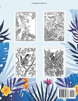 Song Birds Coloring Book: An Song Birds Coloring Books with Beautiful Songbirds Exquisite Relaxing Nature Scenes Majosta