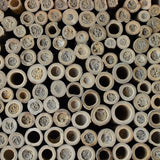 Nature's Way Wooden Bee House for Outdoor Décor, Beneficial Insects and Pollinators, Mason Bee, Leafcutter Bee, White Nature's Way