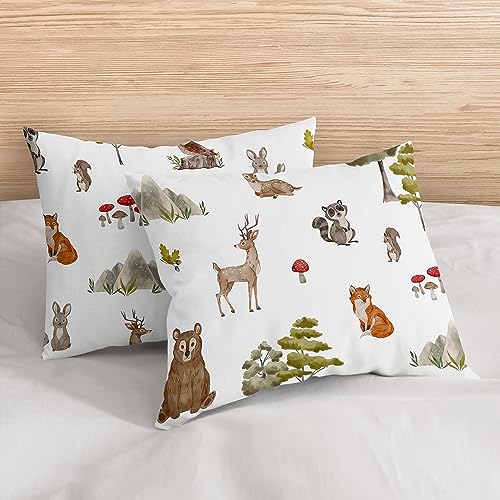 Sweet Jojo Designs Woodland Forest Animals Boy Girl Gender Neutral Unisex Queen Comforter Set Full Size Bedding Kids Teen Adult Bed Room 3pc Brown Bear Owl Animal Print Tree Deer Bunny Taupe Friends Sweet Jojo Designs