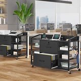 SEDETA 44" File Cabinet, Filing Cabinet fits Legal/Letter Size, 2 Drawer File Cabinets for Home Office with Lock, Power Strip, 6 Storage Shelves, Rustic Brown SEDETA