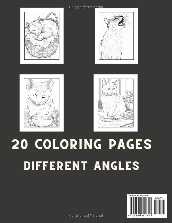 Large Print Cat Coloring Book For Adults: Relaxation, Stress Relief and Mindfullness For Cat Lovers WoodArtSupply