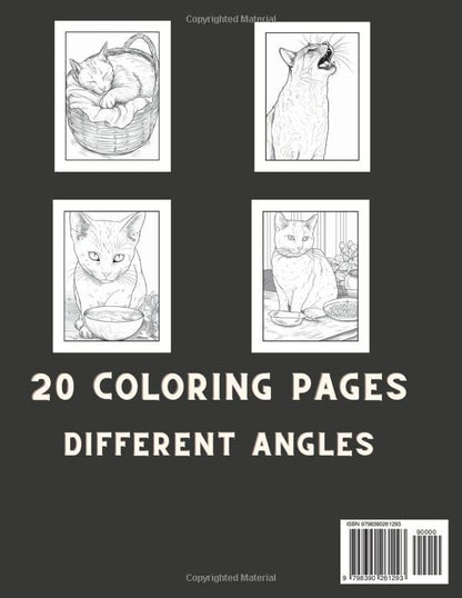 Large Print Cat Coloring Book For Adults: Relaxation, Stress Relief and Mindfullness For Cat Lovers