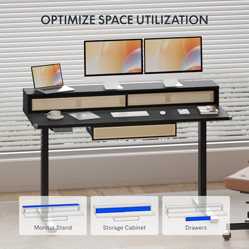 FLEXISPOT Q4 One-Piece Standing Desk with Rattan Drawers, 48 x 24 Inch Adjustable Height, Electric Stand Up Table with Monitor Shelf, Home Office Ergonomic Computer Desk with Memory Presets, Black FLEXISPOT