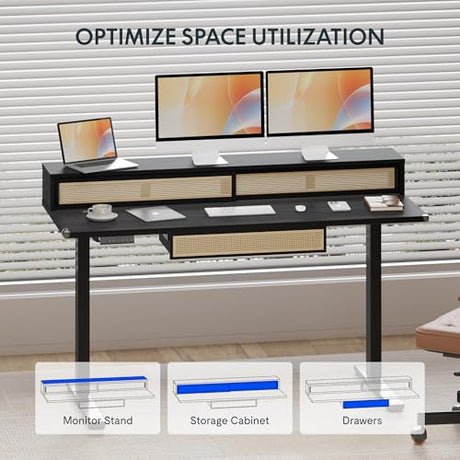 FLEXISPOT Q4 One-Piece Standing Desk with Rattan Drawers, 48 x 24 Inch Adjustable Height, Electric Stand Up Table with Monitor Shelf, Home Office Ergonomic Computer Desk with Memory Presets, Black FLEXISPOT