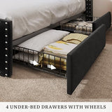 DWVO Queen Size Bed Frame with 4 Storage Drawers and RGB LED Lights, Velvet Upholstered Platform Bed with Charging Station and Bookcase Storage Headboard, No Box Spring Needed, Easy Assembly, Black DWVO