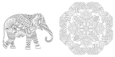 Animal Kingdom: Color Me, Draw Me (A Millie Marotta Adult Coloring Book) Union Square & Co.