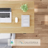 FLEXISPOT Standing Desk 48 x 24 Inches Height Adjustable Desk Whole-Piece Desktop Electric Stand up Desk Home Office Table for Computer Laptop (White Frame + 48 in Maple Desktop) FLEXISPOT