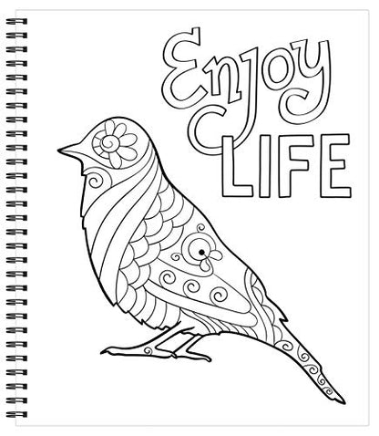 Large Print Easy Color & Frame - Calm (Stress Free Coloring Book)