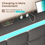 ADORNEVE Dark Grey Queen LED Bed Frame with 4 Drawers & USB Charging Station ADORNEVE