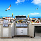 Outdoor Kitchen Doors- 30" W x 21" H - Stainless Steel BBQ Double Access Door,Flush Mount for Outdoor Kitchen and BBQ Island yuxiangBBQ