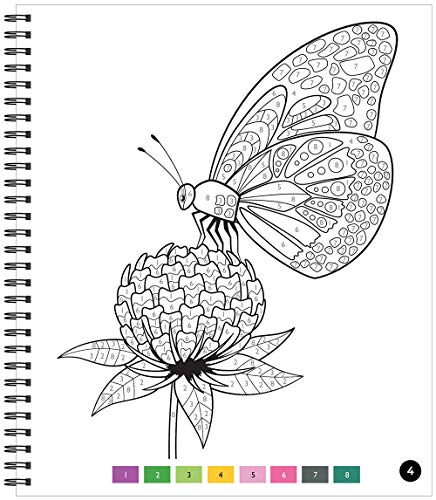 Brain Games - Color by Number: Butterflies New Seasons