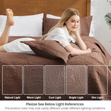 Love's cabin Twin Quilt Set Brown Bedspreads Bedding Set - Soft Bed Lightweight Bedspread Comforter - Modern Style Coin Pattern Coverlet for All Season - 2 Pieces (1 Quilt, 1 Pillow Sham) Love's cabin