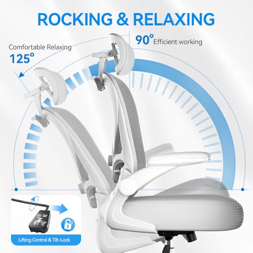 Freepub Ergonomic Office Chair with Headrest 3D, Mesh Office Desk Chair with Adjustable Lumbar Support, Computer Chair with Flip up Armrests, 350LBS Capacity - Design for Home/Offices - Grey Freepub