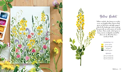 Wildflower Watercolor: The Beginner’s Guide to Painting Beautiful Florals WoodArtSupply