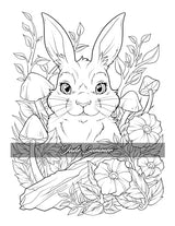 Stress Relief: Adult Coloring Book with Animals, Flowers, Fantasy, and More for Mindfulness and Relaxation WoodArtSupply