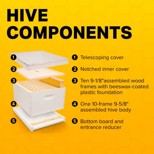Mann Lake Complete Bee Hive Kit, Fully Assembled Beginner-Friendly Bee Hive Starter Set with Hive Body & 10 Frames Mann Lake
