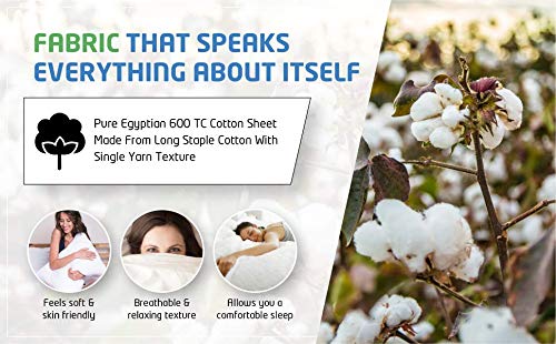 PLUSHY COMFORT Luxury Twin XL Duvet Cover Set - 600 Tc in 100% Egyptian Cotton Silky Single Yarn Fabric, White Plain Color - 3 piece Set Twin XL Duvet with 2 Pillow Shams PLUSHY COMFORT