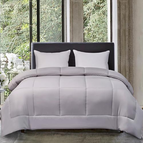 Blue Ridge Home Fashions Comforter Breathable Microfiber Duvet Insert, Summer Cooling Winter Warm Reversible Down Alternative Quilt Comforter for All Season, King, White/Platinum Blue Ridge Home Fashions