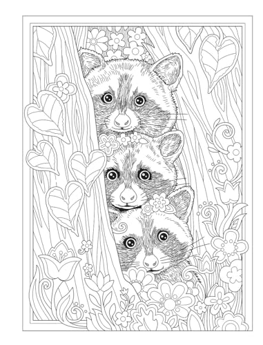 Creative Haven Wondrous Wildlife Coloring Book; Journey through Nature and the Great Outdoors; Lions, Tigers, Bears And More! (Adult Coloring Books: Animals) Dover Publications