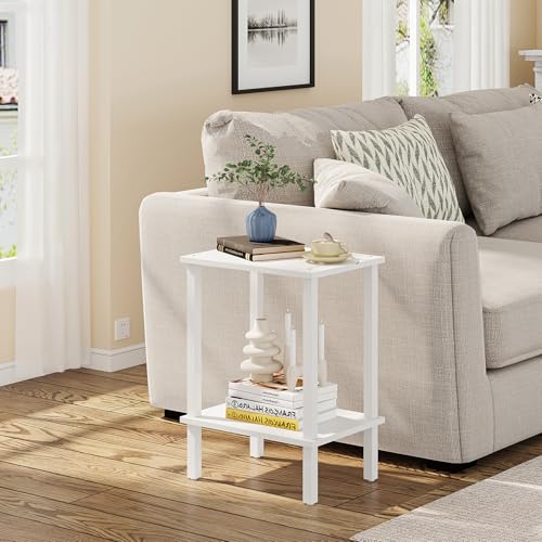 TUTOTAK End Table, Side Table, Nightstand, 2-Tier Storage Shelf, Sofa Side Table for Small Space, Living Room, Bed Room V1TB01BW034 TUTOTAK