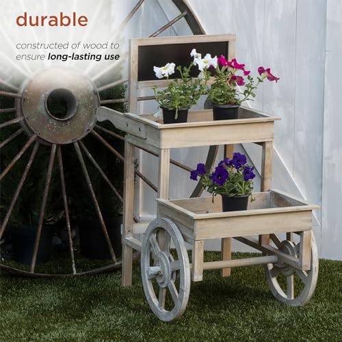 Alpine Corporation 34" Tall Indoor/Outdoor Wooden 2-Tier Plant Display Stand with Chalkboard and Wheels Alpine Corporation