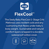Sealy Baby Flex Cool Breathable 2 Stage Waterproof Crib Mattress plus Toddler Bed Fit, Airy Cotton Cover, 204 Premium Coils, GREENGUARD Gold Certified, Safety & Quality Tested, Made in USA, 52'X28' SEALY BABY