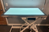 Cove Products LED Lit Master Groomer Electric Lift Grooming Table (Complete Package) Cove Products