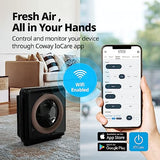 Coway Airmega AP-1512HHS App-Enabled Smart Technology, Compatible with Amazon Alexa True HEPA Air Purifier, Black/Bronze Coway