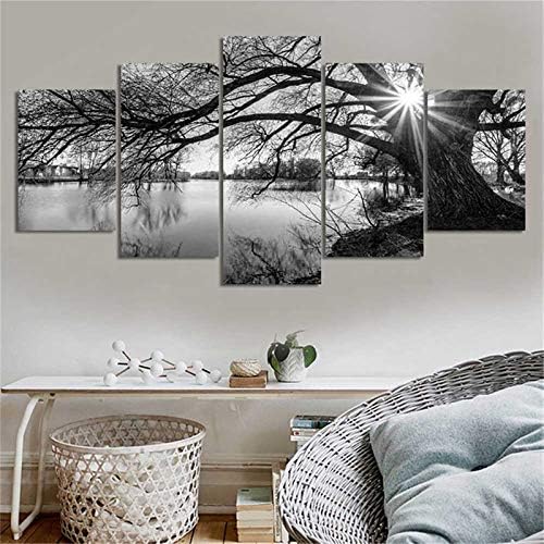 DIY 5D Full Diamond Art Kit,Black and White Tree Lake Surface Sunshine 5 Piece Multi Diamond Art Kits for Adults Paint with Diamonds Kits Diamonds Embroidery by Numbers 17.7x37.4 inch GOJOSOWIN