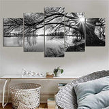 DIY 5D Full Diamond Art Kit,Black and White Tree Lake Surface Sunshine 5 Piece Multi Diamond Art Kits for Adults Paint with Diamonds Kits Diamonds Embroidery by Numbers 17.7x37.4 inch GOJOSOWIN