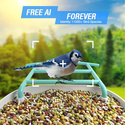 isYoung Smart Bird Feeder with Camera, Free AI Forever to Identify 11000+ Bird Species, Solar Panels Bird Video & Motion Detection Camera Auto Capture Notify (Dual Panel) - WoodArtSupply