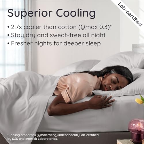 Bambaw Queen Sheet Set – 4pcs 100% Viscose Derived from Bamboo Sheets Set, Cooling Sheets for Night Sweats, Soft Queen Sheets, Hotel Luxury Bed Sheets Set, 16'' Deep Pockets (Moonlight Gray) Bambaw