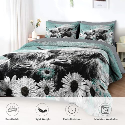 Pamnest Quilt Set King Size, Highland Cow Animal 3 Pcs Soft Bed Cover Bedding Set for Kids and Adults, Farm Daisy Lightweight Bedspread Coverlet with Pillow Sham for All Season Pamnest