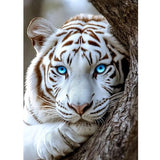 KEYIFA White Tiger Diamond Art Kits for Adults, DIY Diamond Painting Animal, Round Full Drill, 5D Diamonds Dots Mosaic Painting, Gem Arts Craft for Home Wall Decor Gifts, 30x40cm KEYIFA