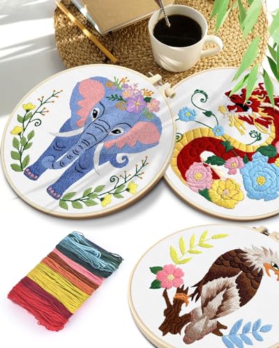TINDTOP Embroidery Kit for Beginners Adult, Dragon Embroidery Kit for Beginners Include Embroidery Cloth Hoops Threads for Craft Lover Hand Stitch with Embroidery Skill Techniques TINDTOP