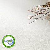 Best Price Mattress 6 inch Twin Mattress Bed-In-A-Box, Green Tea Memory Foam, White Best Price Mattress