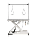 Super Deluxe Electric Pet Grooming Table, Height Adjustable HouseOfZazla