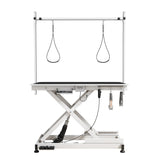 Super Deluxe Electric Pet Grooming Table, Height Adjustable